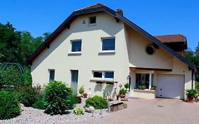 Großzügige helle Ferienwohnung bis 4 Personen in Chalampe, Elsass